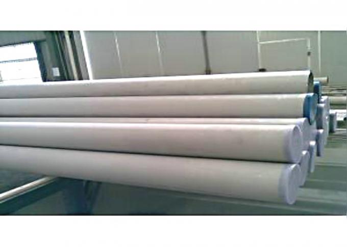 Buizenstelsel ASTM A790 S31803 UNS S32750 UNS32304 van het grote Diameter het Mariene Roestvrije staal