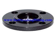 SS 1/2 Inch - 80 Inch N08904 Forged Steel Flanges For Petroleum