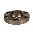 Factory Price Weld Neck Flange 300#-1500# Super Austenitic Stainless Flange B649 N08926 For Pipe Industry