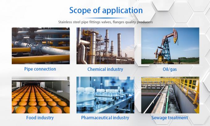 Roestvrij staal op maat Hoogtemperatuur Butt Welding Pipe Fittings Stub End voor Pipe Coupling 1