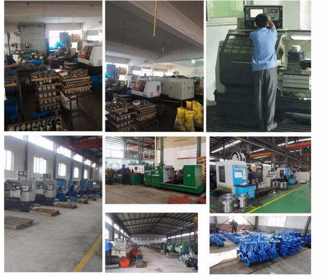 Carbon Steel ASTM A105 Brilblinde flens 300# 4' Figuur 8 2