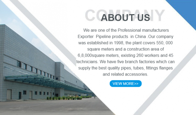 METAL Hoge kwaliteit 304 roestvrij staal buis Fitting Solid Square Head Plug 1/2/3/4/6 punten NPT1/2 7