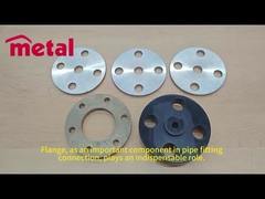 roestvrij staalflens