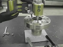 roestvrij staalflens