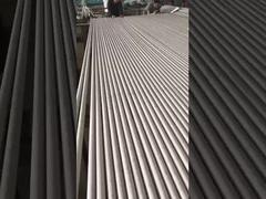 De Buis van het kopernikkel