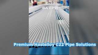 Hastelloy C-22 EP/BA-buis