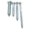 Fasteners Supplier Din571 Galvanized Or Stainless Steel Hex Head Wood Screw Lag Bolt Coach Screw