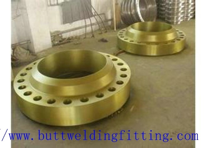 Steel Weld Neck Flange ASTM A 182 Stainless Steel WNRF Pipe Flange