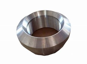 Stainless Steel Ss304/316 Pipe Fittings Forged Fittings Threaded Olet ASME B16.9