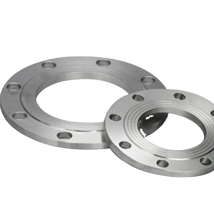 Stainless Steel 304 304L 316L 316 Metal Flange Rtj Floor Flange