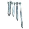 Fasteners Supplier Din571 Galvanized Or Stainless Steel Hex Head Wood Screw Lag Bolt Coach Screw