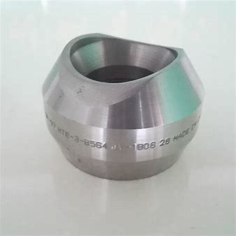Forged Weld Fitting Thread Weldolet Carbon Steel Stainless Steel Pipes Head