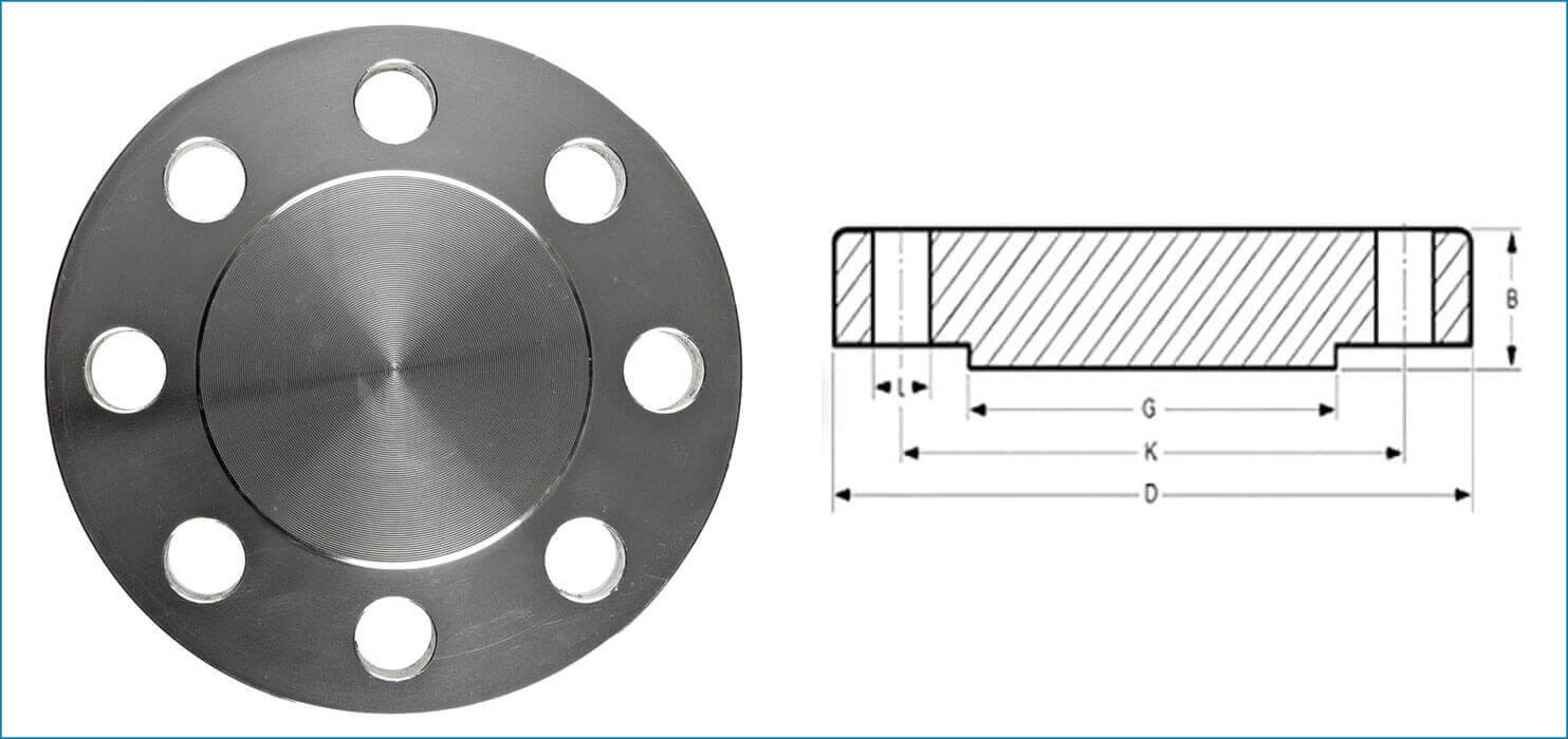 ASTM B564 Hastelloy C-276 Flange - 6