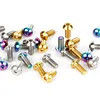 Colorful M2 M4 M5 M6 M8 M10 M12 Pan Head Titanium Screw