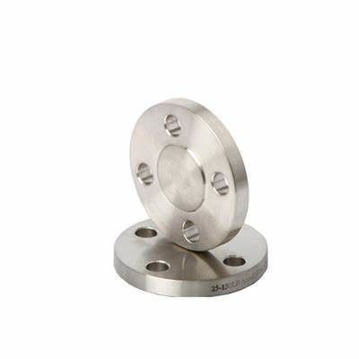 ANSI ASME B16.5 B16.47 304 316 RF FF Stainless Steel Blind Forged Pipe Fittings Flange