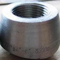 Stainless Steel Olet Ss304/316 Pipe Fittings Forged Fittings Threaded Olet ASME B16.9