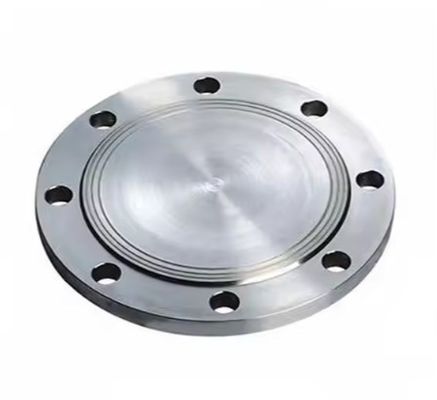Customized 304 Stainless Steel Flanges Carbon Steel PN10/16 Welded Flange ASTM Forged Threaded Drainage Pipe Fittings Flange