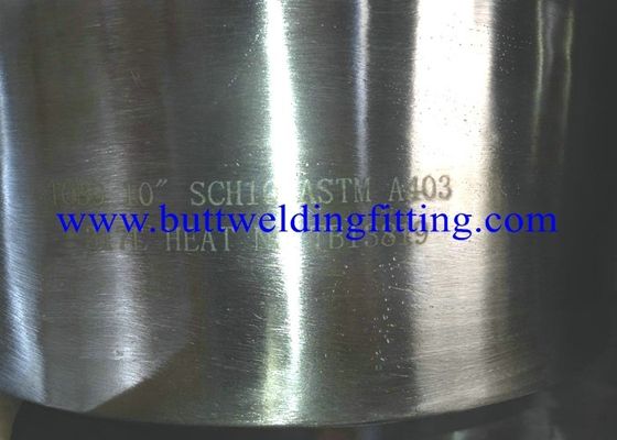 ASTM A403 WP317L / 310H /321H Stainless Steel Stub End Lap Joint  10 inch SCH40S